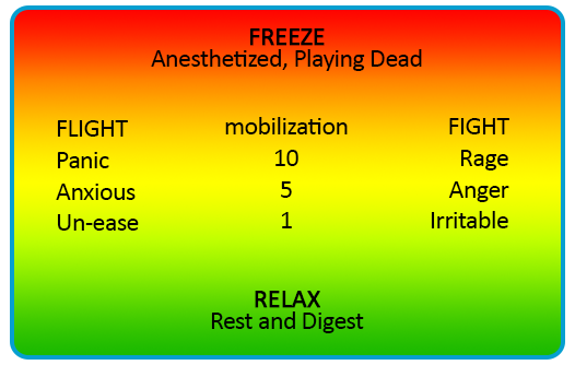Freeze Relax chart